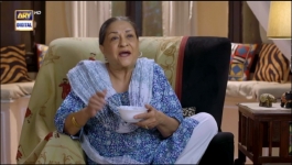 Mere Humsafar - Episode 17 - 22nd April 2022